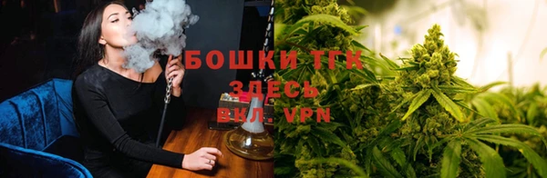 ПСИЛОЦИБИНОВЫЕ ГРИБЫ Новокубанск