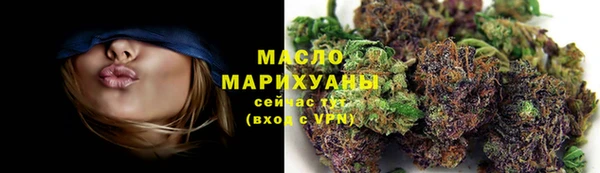 прущие грибы Новозыбков