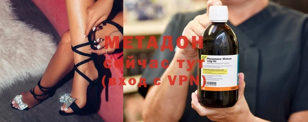 прущие грибы Новозыбков