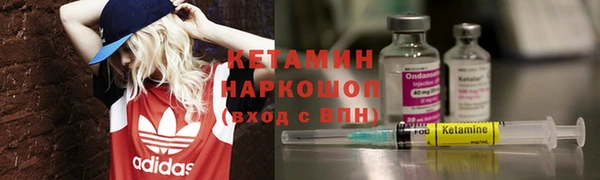 прущие грибы Новозыбков