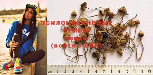 марки nbome Новодвинск