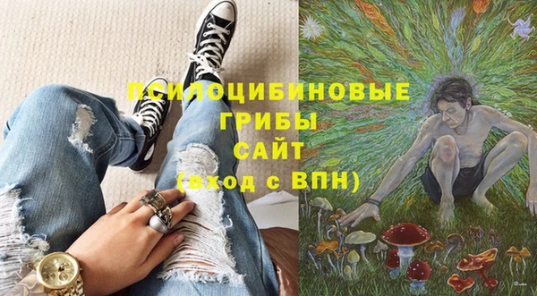 мет Абаза