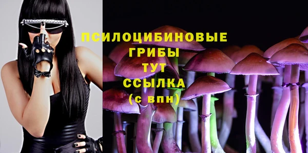 не бодяженный Абдулино