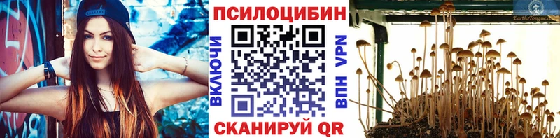 Псилоцибиновые грибы Magic Shrooms  как найти   Оренбург 